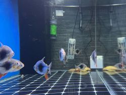 -青木造型HAIR·あおき髪を刈る潮人店