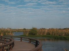 -宁波杭州湾国家湿地公园
