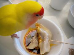 -龙抄手食府(浣花北路店)