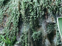 -维乐口腔医院(福清院)