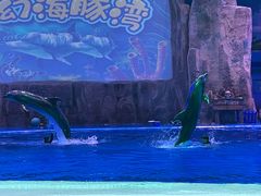 -华夏文旅海洋公园