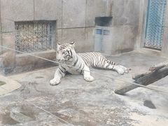 -西安秦岭野生动物园