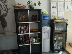 -榕树上·瑜伽普拉提