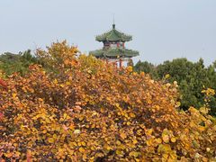 -北京西山国家森林公园