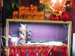 -ventus spa 沙巴亚庇正宗精油按摩会所