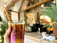 -Sirena海妖日咖夜酒