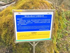 -西岭雪山大飞水景区