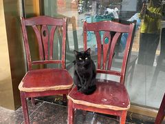 -马健烤肉(东丽大厦店)