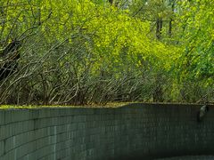 -成都南湖公园