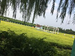 -百万葵园