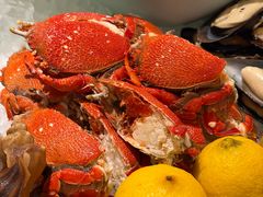 -广州万富希尔顿酒店-感趣自助餐厅·生蚝海鲜刺身