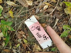 -乌山风景区