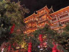 -越秀西湖花市(广州城市广场花卉店)
