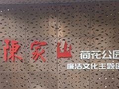 -陈家山荷花公园