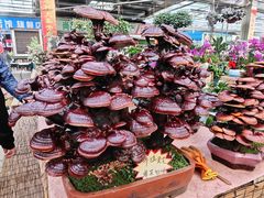 -李村大集