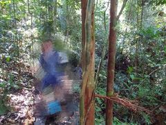 山间小路-乌鲁淡布隆国家公园