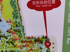 -上海共青森林公园