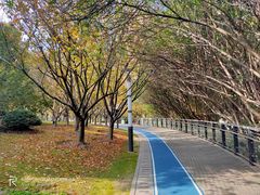 -苏州河梦清园环保主题公园