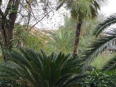 -咸宁万豪温泉谷度假区