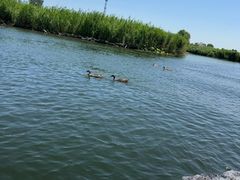 -白洋淀景区