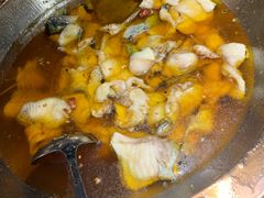 -雲蜀龙阁·金牌水煮鱼(方庄店)