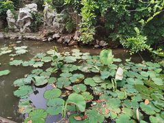-丝绸小镇荻港古村