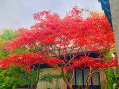 -惠山古镇·寄畅园