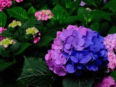 -共青国家森林公园-售票处