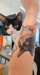 -雕哥的纹身店A3 TATTOO&纹身培训