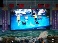 -多彩贵州城极地海洋世界