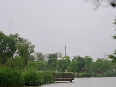 -九科绿洲
