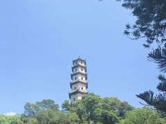 -江心屿景区