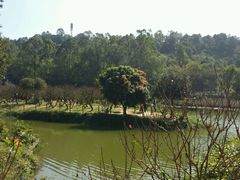 -南国桃园旅游度假区