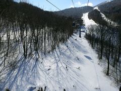 -亚布力新体委滑雪场
