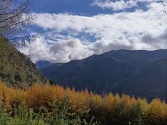 -卧龙自然保护区