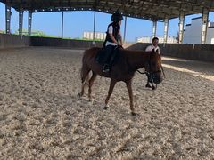 -松声马术俱乐部