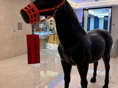 -郑州美盛喜来登大酒店
