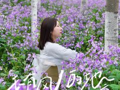 -白塘生态植物园