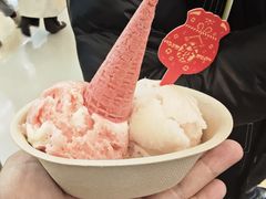 -极拉图·现制冰淇淋(大卫城店)