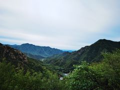 -大岭沟猕猴桃谷风景区