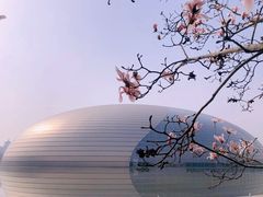 -国家大剧院