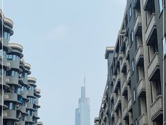 -紫峰大厦