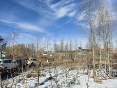 -鄂尔多斯野生动物园