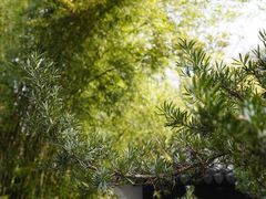 -宜兴龙背山森林公园
