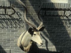 -福禧酒窖·中餐厅 (万柳店)