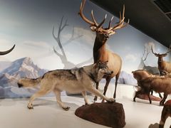 -陕西自然博物馆