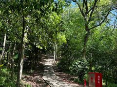 -上海佘山国家森林公园天马山园