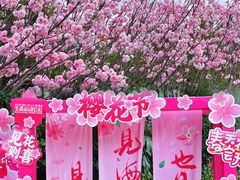 -观澜湖生态运动公社