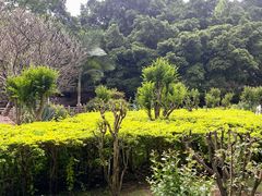 -晓港公园