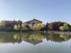 -溱湖国家湿地公园